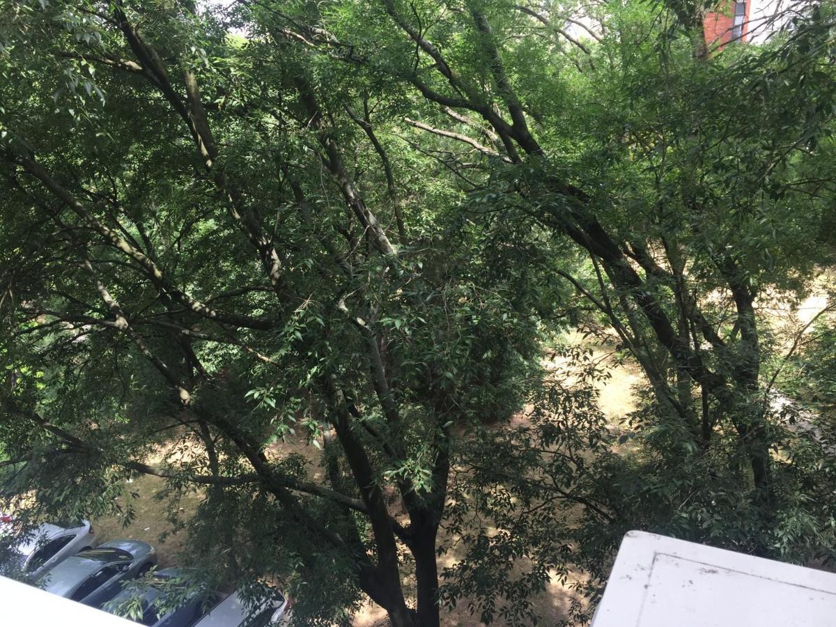 בלגרד Apartment Ljiljana מראה חיצוני תמונה