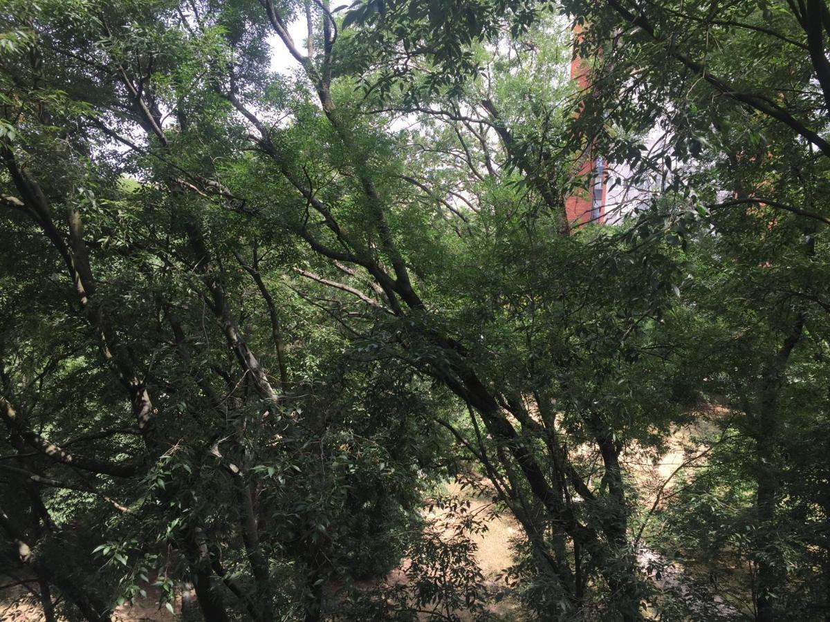בלגרד Apartment Ljiljana מראה חיצוני תמונה