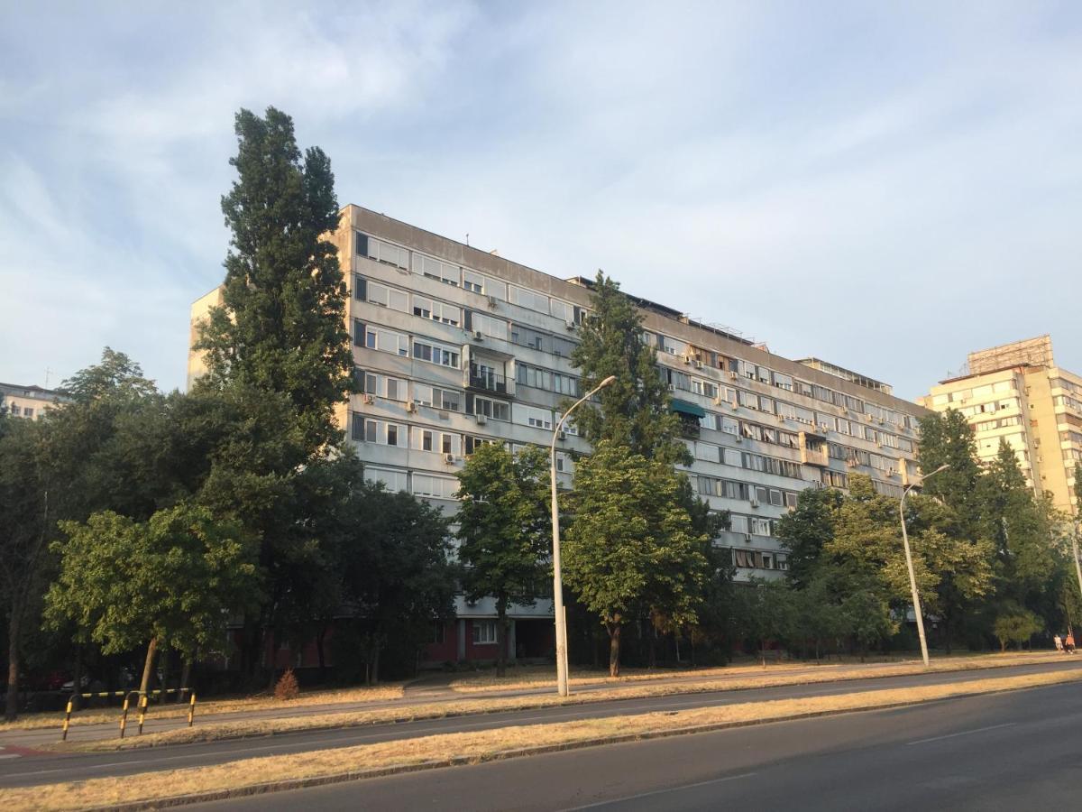 בלגרד Apartment Ljiljana מראה חיצוני תמונה