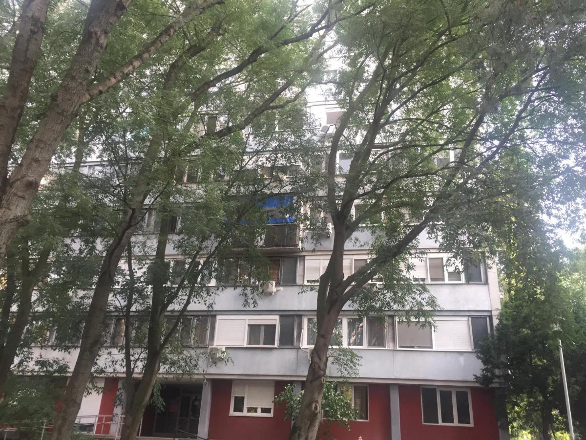 בלגרד Apartment Ljiljana מראה חיצוני תמונה
