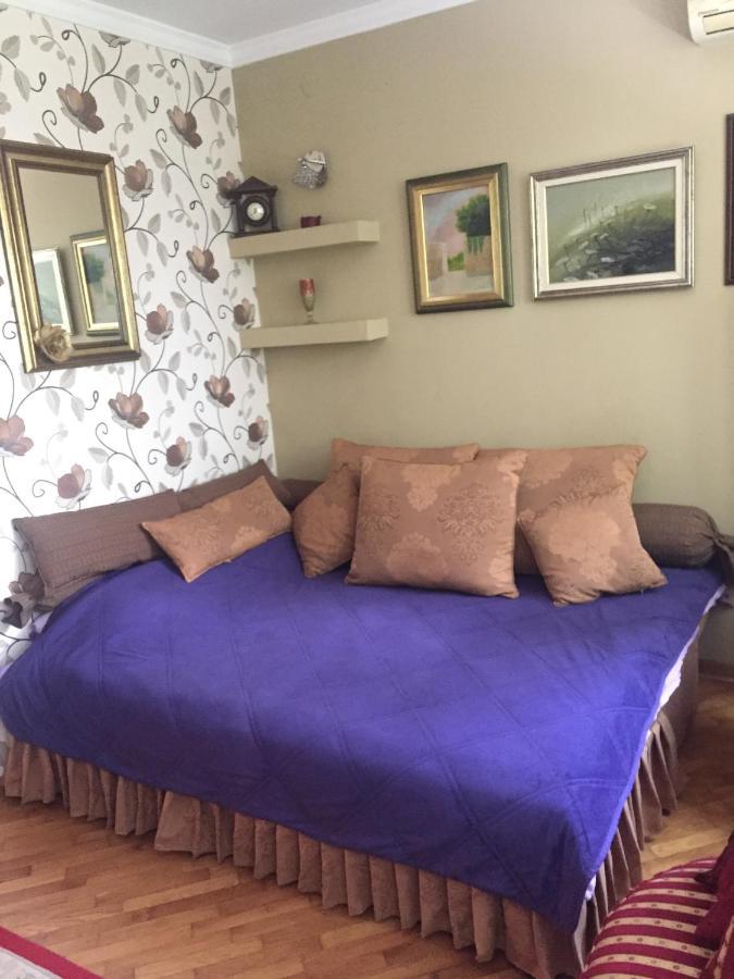 בלגרד Apartment Ljiljana מראה חיצוני תמונה